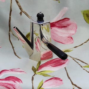 Può includere: Una teiera argentata lucida con manico nero e pomello nero sul coperchio. La teiera è rettangolare con un lungo beccuccio. Lo sfondo è un motivo floreale con fiori rosa e rossi.