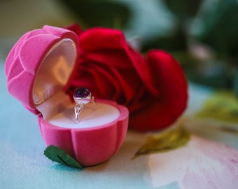Jewellery & Accessories
