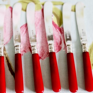 Könnte beinhalten: Sieben silberne Buttermesser mit roten Kunststoffgriffen. Die Messer sind in einer Reihe auf einer Tischdecke mit Blumenmuster angeordnet.