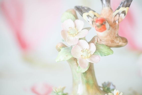 Exquisite Crown Staffordshire J T Jones: Goldfinch - Etsy UK