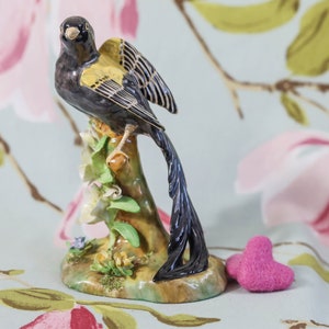 Staffordshire Birds Jones - Etsy