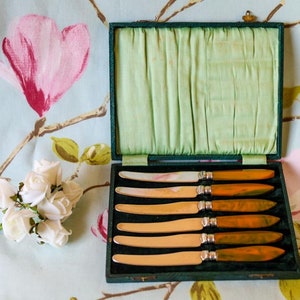Auffälliges boxed Set Art Deco Silberplatte und marmorierte Bakelit Teemesser