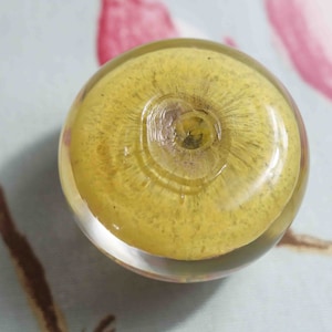 May include: A round, yellow glass bead with a clear center and a textured surface.