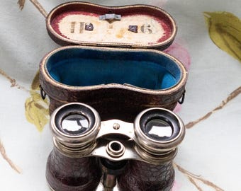 Victorian binoculars: for repair, a New Year project?