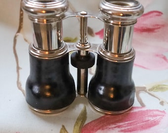 Victorian binoculars: nice, heavy pair