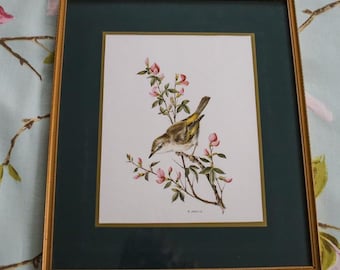 Fine gilt framed and mounted Bonelli's Warbler print - for passionate bird watchers