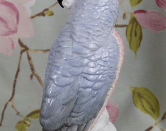 Staffordshire J T Jones