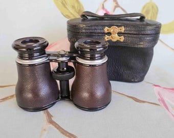 Fabulous set of Victorian Lemaire (French) opera glasses:  famed bumble bee logo on case button