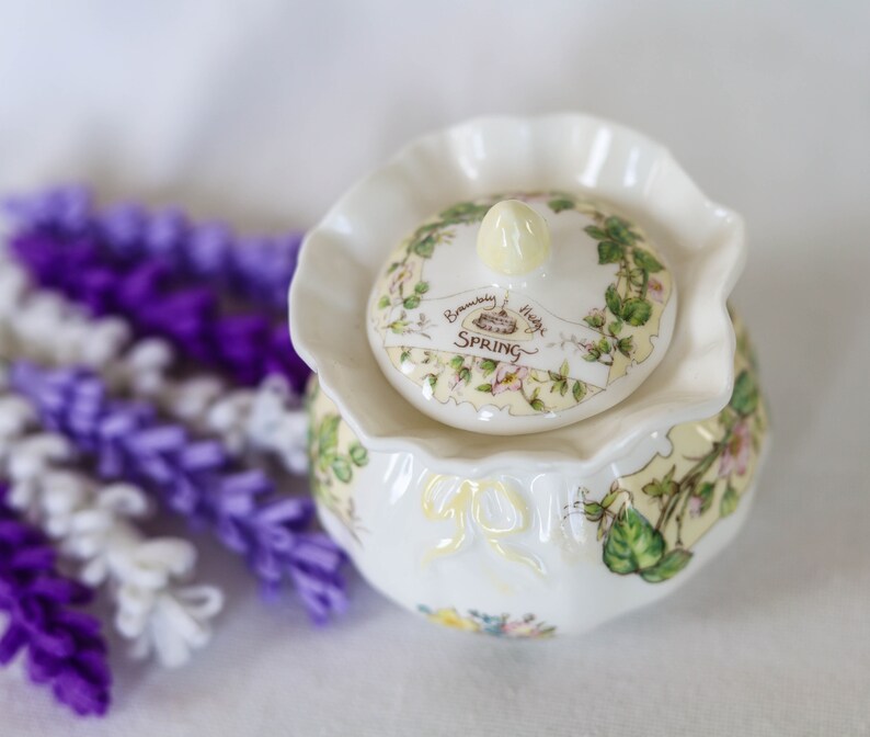 Royal Doulton Brambly Hedge Spring Story 'dorothy Pot' Etsy
