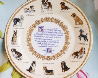 Large porcelain dog breed collectors' plate by Aynsley: 11 inches diameter
