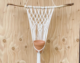 Hermosa Macrame pared colgando plantador en la rama