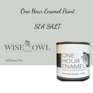 32oz Wise Owl OHE Paint SEA SALT Perfect for Kitchen and Bath Cabinets, Interior and Exterior Door, Tile, Trim, Furniture, Concrete and More