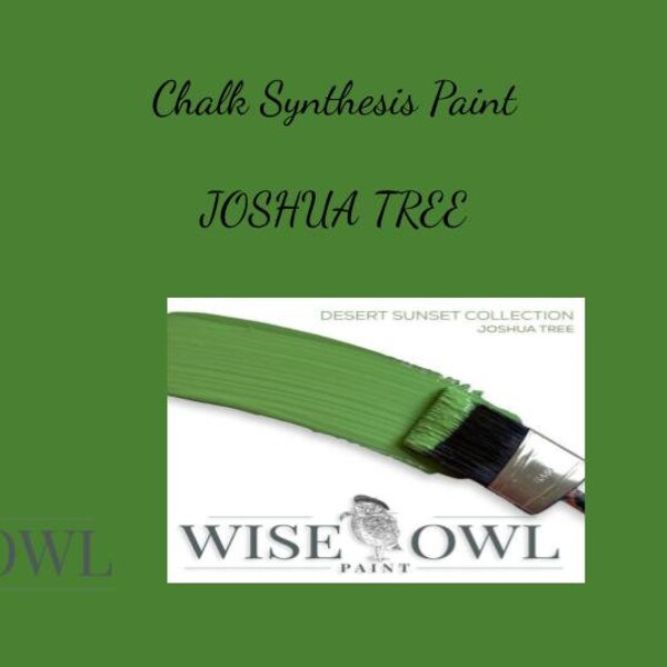 JOSHUA TREE 16 oz - Wise Owl Chalk Synthesis Paint - Non Toxic Furniture Paint - Mineral Paint -decor Paint