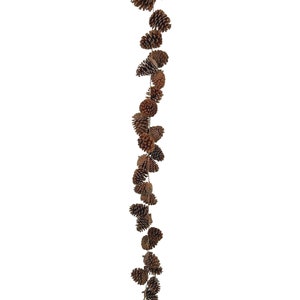 May include: A garland of brown pine cones strung on twine. The pine cones are of varying sizes and shapes, giving a natural, rustic look. The garland is set against a white backdrop, ideal for festive or seasonal decorations.