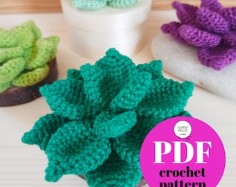 Crochet Succulent Plant PDF Crochet Pattern in English US UK and Spanish