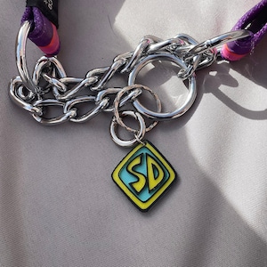 Dog collar tag / charm styled like the tag worn by Scooby Doo