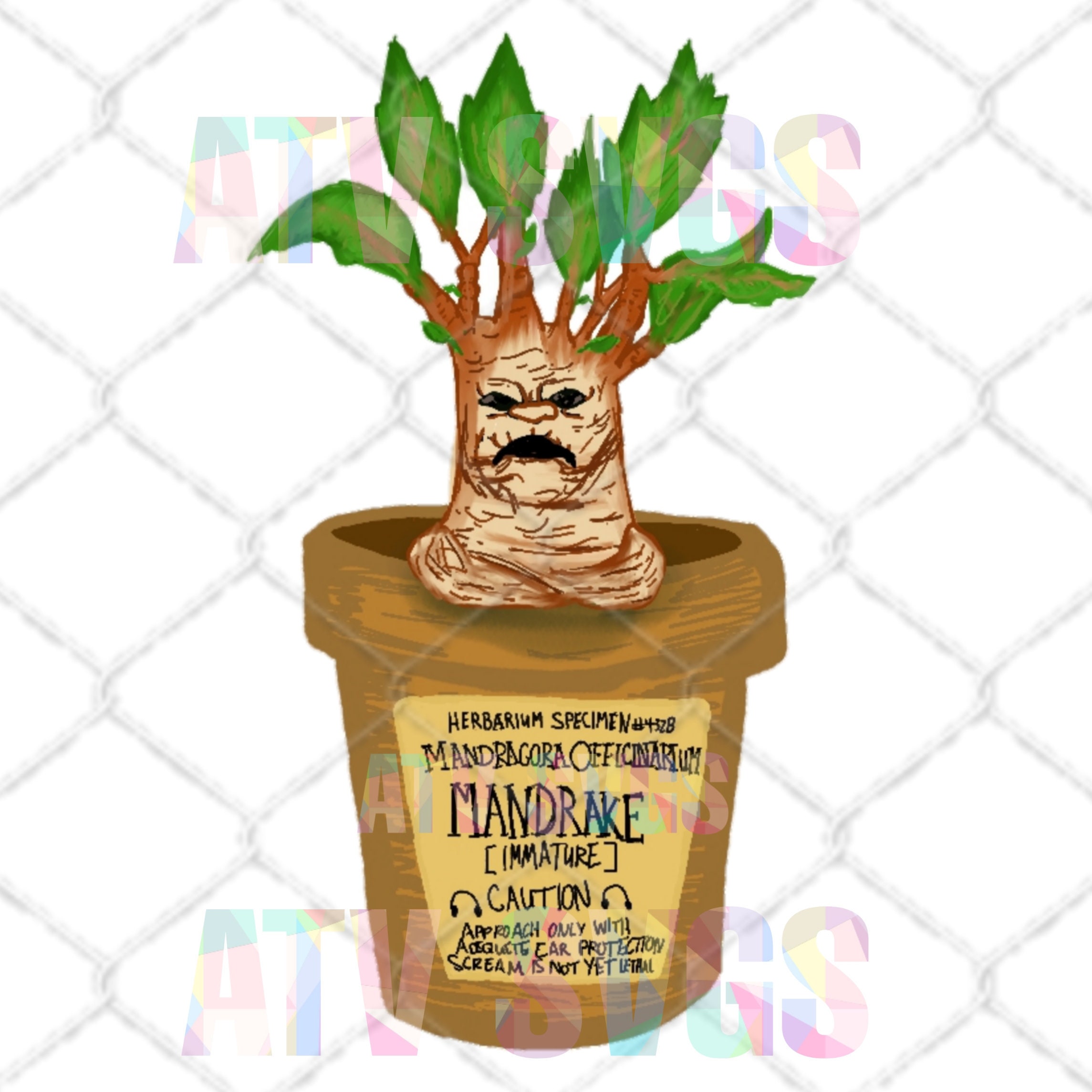Mandrake Drawing / JPG for water slide Printable Vinyl | Etsy