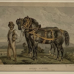 Antique Lithograph of Arden Horses printed by Sarony Major & Knapp, New York