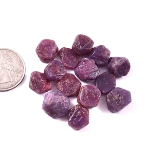 May include: A collection of thirteen raw, deep pinkish-red ruby crystals with irregular, faceted shapes. The stones are arranged in a cluster next to a standard United States quarter coin for scale, showing their relative size and natural texture.