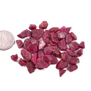 May include: A collection of rough-cut ruby gemstones in varying sizes and shapes. The gemstones are a deep red color and are scattered on a white surface. A quarter coin is included for size reference.