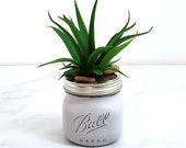 Light gray hand painted pint Mason Jar w fake succulents. Aloe artificial succulent vase. Neutral distressed small cubicle office decor