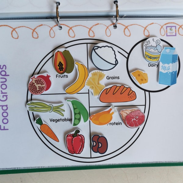 Food Group Sorting Activity game, food plate activity, homeschool activity, eating healthy, Busy book binder,eating habits, balanced diet