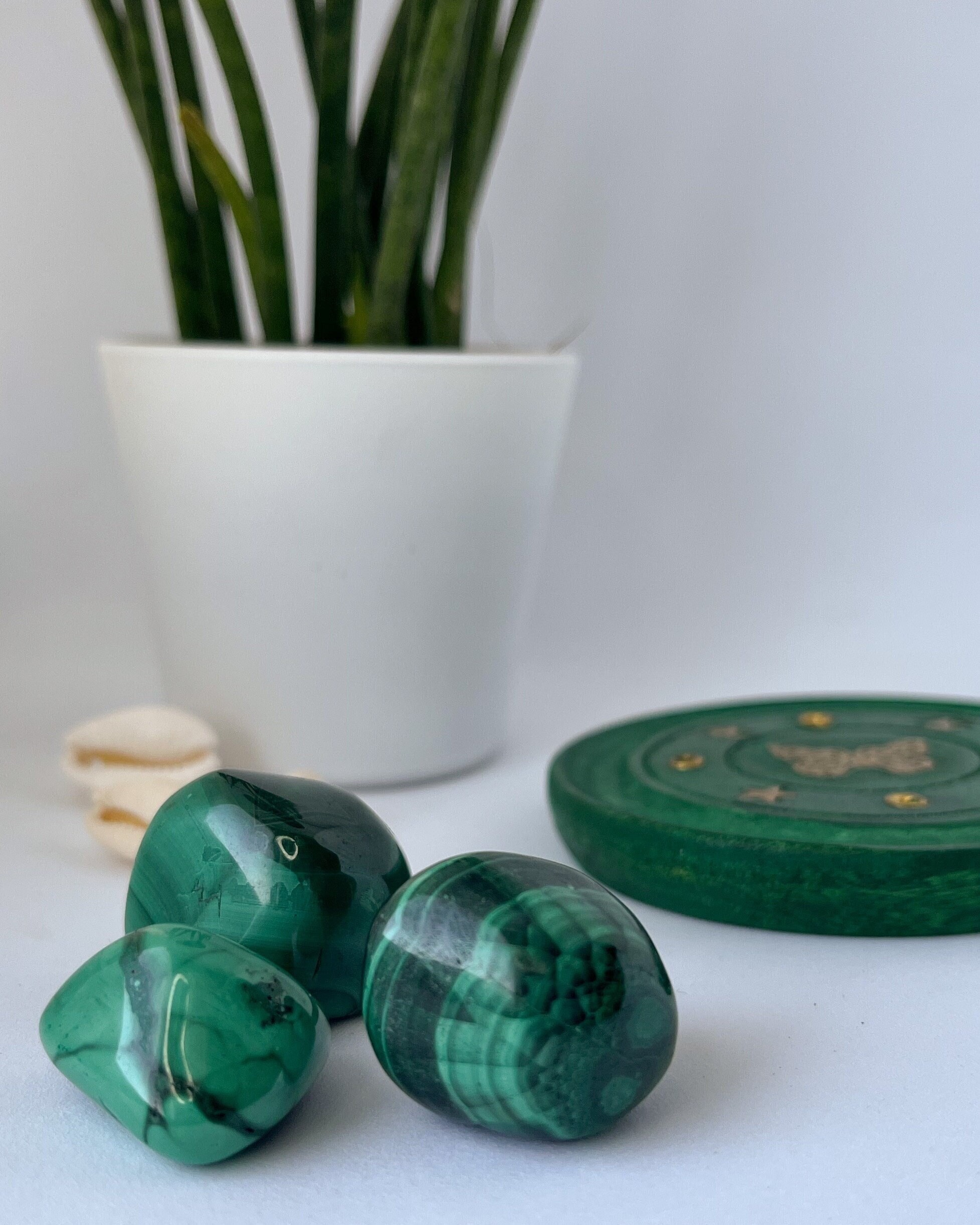 | de Malachite Grade A Afrique Du Sud | Cœur, Gorge, Cristal Plexus Solaire