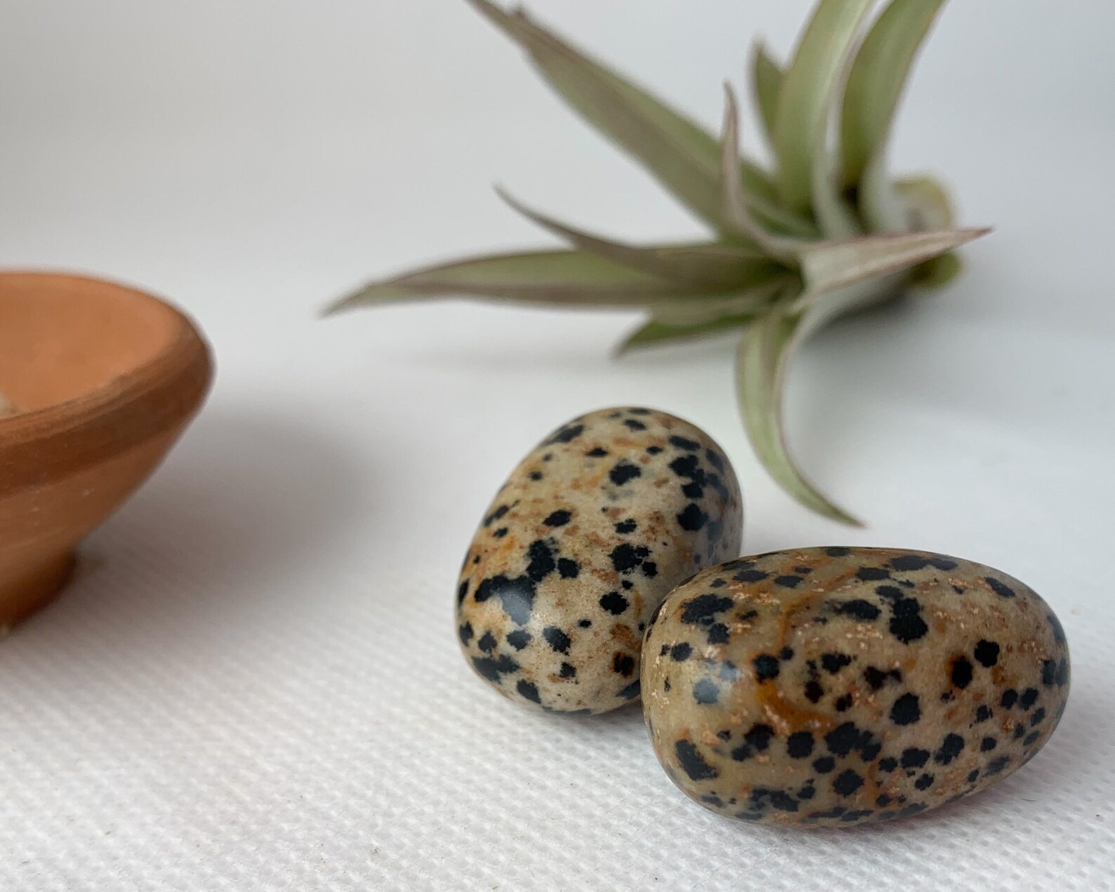 dalmation jasper quartz dalmation jasper quartz