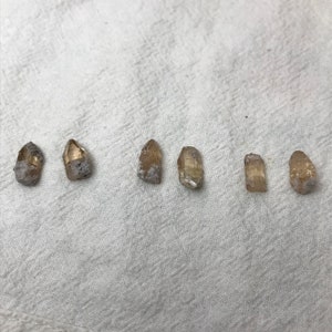 Pick One Raw Sherry Topaz Crystal Fading Topaz 2-3 carat, 10-11mm specimens image 5