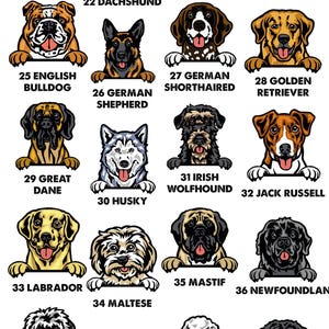 Dog Name T-shirt, Personalised Dog Tee, Dog Mum T-shirt, Dog Dad T shirt, Custom Dog Tshirt, Dog Lovers Gift, Dog Walking Tee, Dog Owner Tee image 6