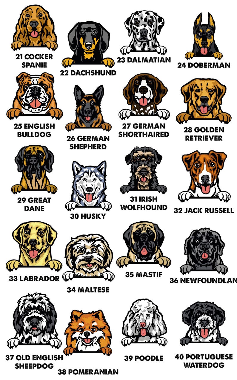Dog Name T-shirt, Personalised Dog Tee, Dog Mum T-shirt, Dog Dad T shirt, Custom Dog Tshirt, Dog Lovers Gift, Dog Walking Tee, Dog Owner Tee image 6