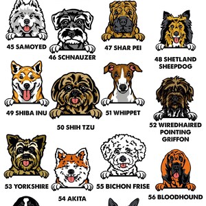 Dog Name T-shirt, Personalised Dog Tee, Dog Mum T-shirt, Dog Dad T shirt, Custom Dog Tshirt, Dog Lovers Gift, Dog Walking Tee, Dog Owner Tee image 7