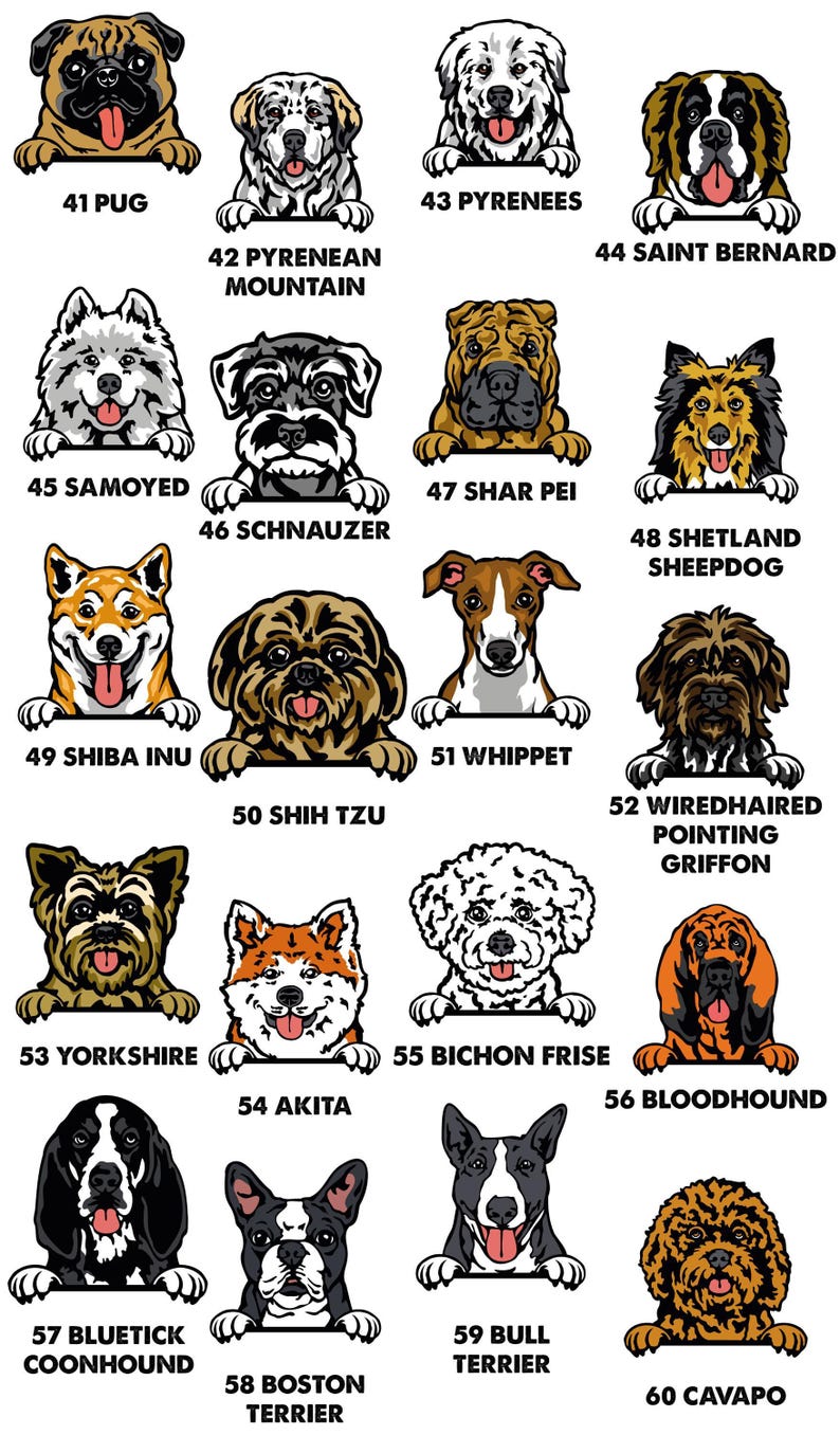 Dog Name T-shirt, Personalised Dog Tee, Dog Mum T-shirt, Dog Dad T shirt, Custom Dog Tshirt, Dog Lovers Gift, Dog Walking Tee, Dog Owner Tee image 7