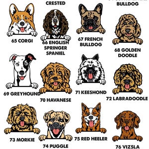 Dog Name T-shirt, Personalised Dog Tee, Dog Mum T-shirt, Dog Dad T shirt, Custom Dog Tshirt, Dog Lovers Gift, Dog Walking Tee, Dog Owner Tee image 8