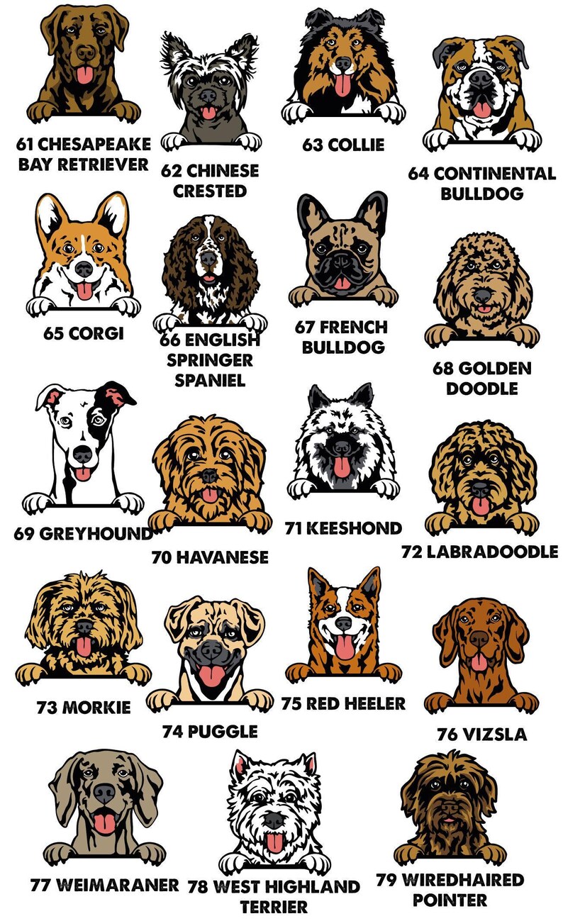 Dog Name T-shirt, Personalised Dog Tee, Dog Mum T-shirt, Dog Dad T shirt, Custom Dog Tshirt, Dog Lovers Gift, Dog Walking Tee, Dog Owner Tee image 8