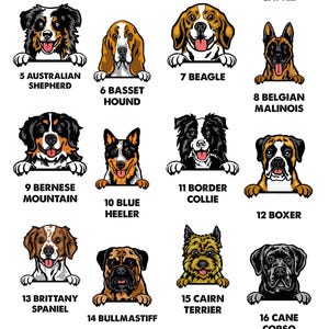 Dog Name T-shirt, Personalised Dog Tee, Dog Mum T-shirt, Dog Dad T shirt, Custom Dog Tshirt, Dog Lovers Gift, Dog Walking Tee, Dog Owner Tee image 5