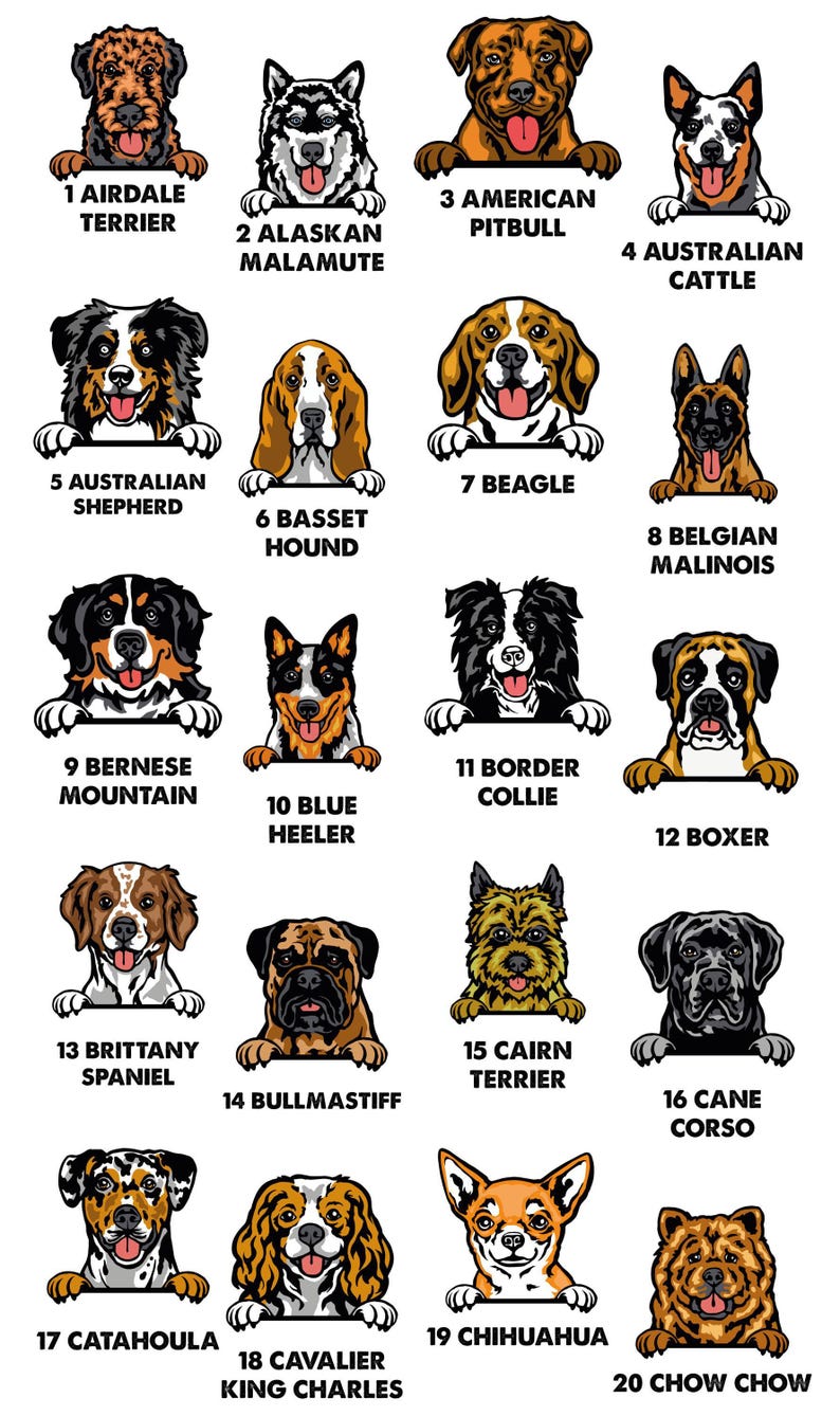 Dog Name T-shirt, Personalised Dog Tee, Dog Mum T-shirt, Dog Dad T shirt, Custom Dog Tshirt, Dog Lovers Gift, Dog Walking Tee, Dog Owner Tee image 5