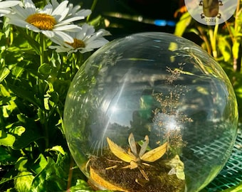 Magical Mantis with real crystals in a glass ball Diorama