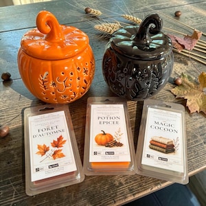 Peut inclure: Deux chauffe-cires en céramique en forme de citrouille, l'un orange et l'autre noir, avec des motifs découpés d'étoiles et de feuilles. Trois emballages de cire fondante rectangulaires sont étiquetés Foret d'Automne, Potion Epicee et Magic Cocoon.