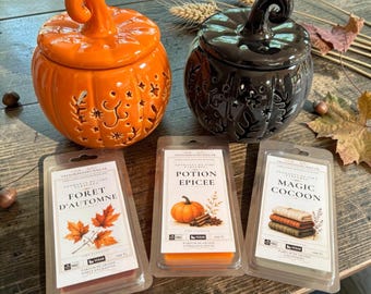 Coffret fondants de cire parfumés et brûleur à fondants, coffret fondants parfumés automne