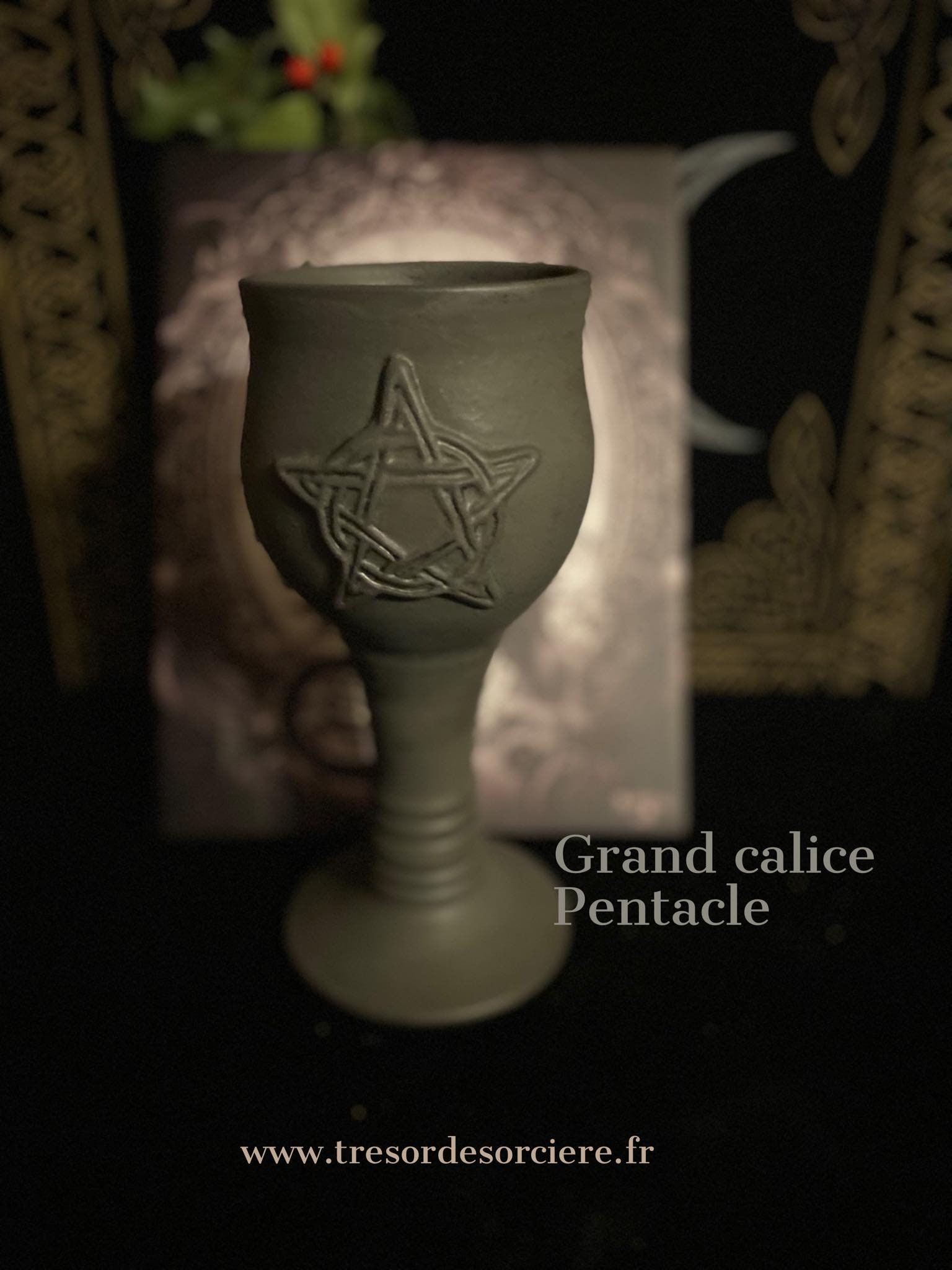 Grand Calice Wicca Pentacle, Sorcellerie, Wiccan, Witchy, Rituel, Sort, Sorcière, Witchcraft, Autel,
