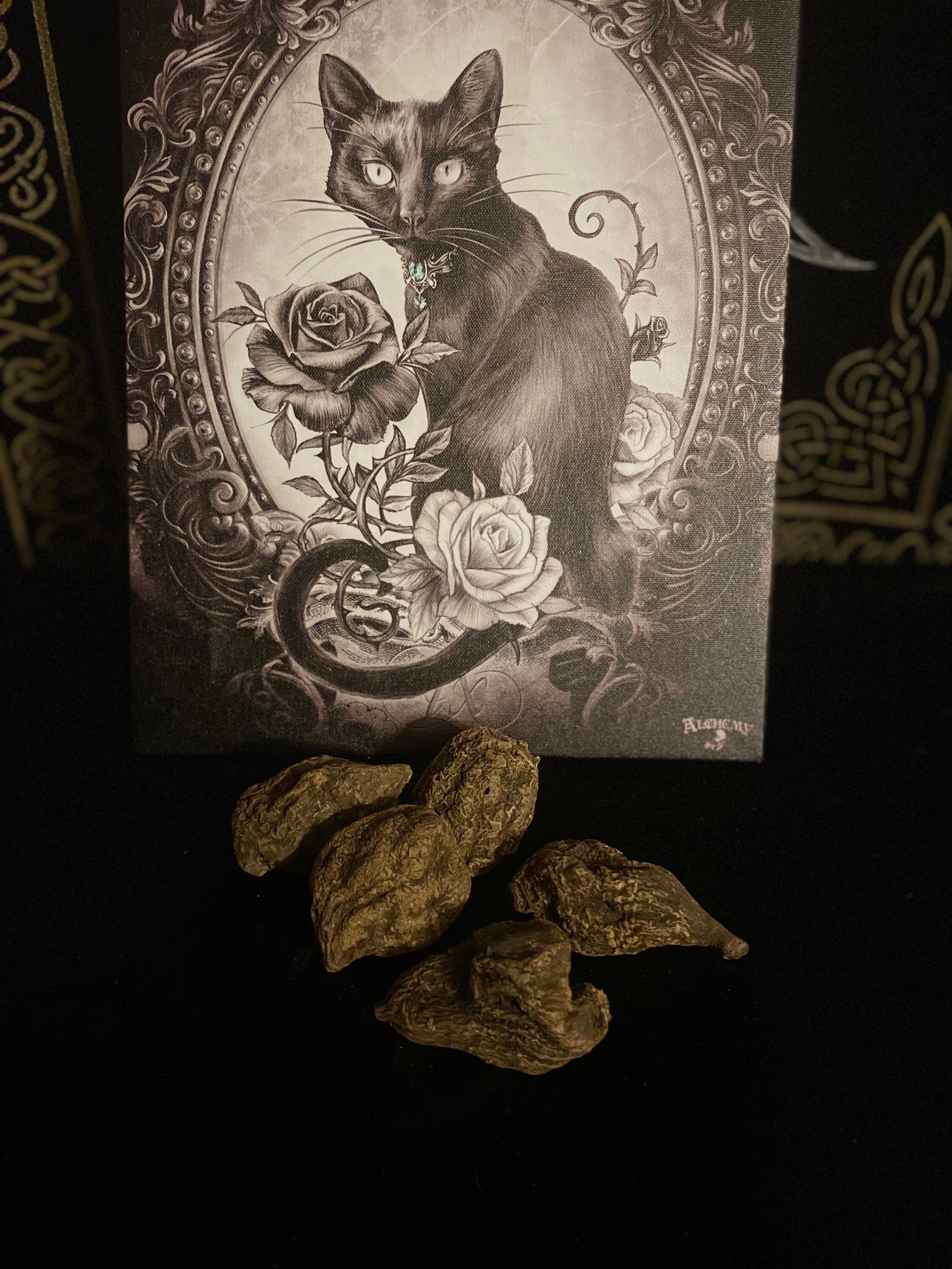 Racines High John, Sorcellerie, Hoodoo, Magie, Rituel, Sort, Witch, Sorcière, Ésotérique, Wicca, Cha