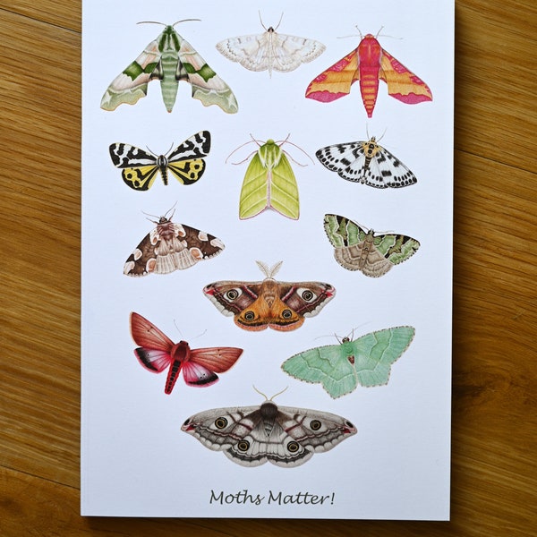 Moths Matter A5 Notebook