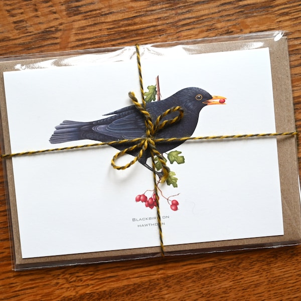 Cartes de voeux A6 British Birds - Lot de 4