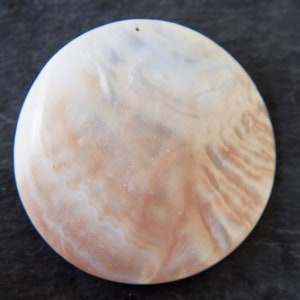 Może przedstawiać: Okrągły, biały i różowy wisiorek z muszli z wirującym wzorem. Muszla ma naturalny, organiczny wygląd.