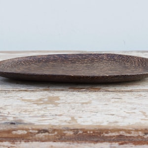 coconut saucer cod. GDP93