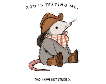 May include: A cartoon illustration of a possum wearing a cowboy hat, red and white bandana, and cowboy boots. The text "GOD IS TESTING ME... AND I HAVE NOT STUDIED." is below the possum.