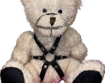 Bdsm Bear