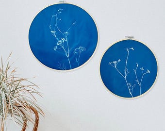 Cianotipia botânica em tecido com flores de endro, cianotipia original em bastidor de bordado, arte de parede, decoração de parede com impressão solar.