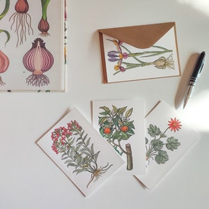 Verjaardagskaarten, kerstkaartenset, kaarten met bloemen, handgeschilderde aquarel, botanisch ontwerp